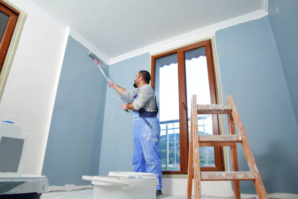 Mold Remediation for Rental Properties in Langley Park, MD