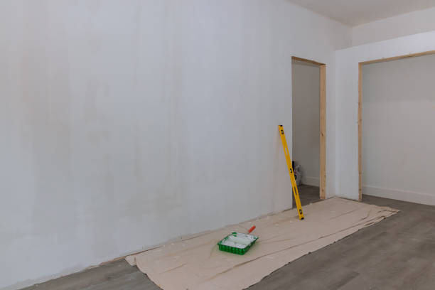 Mold Odor Removal Services in Langley Park, MD