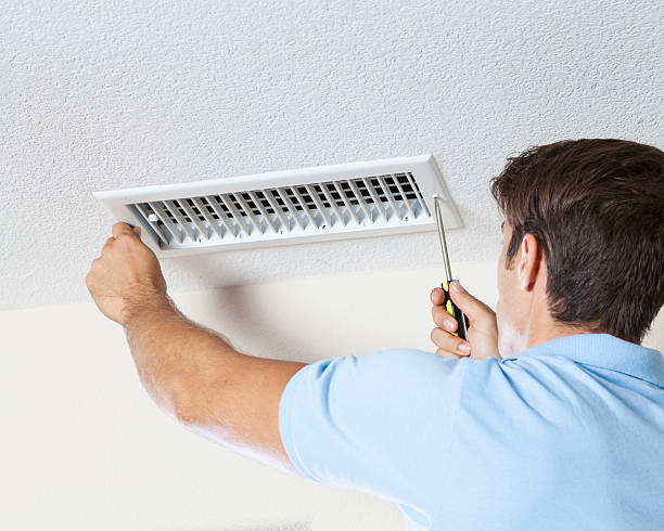Best Mold Documentation for Insurance Claims  in Langley Park, MD