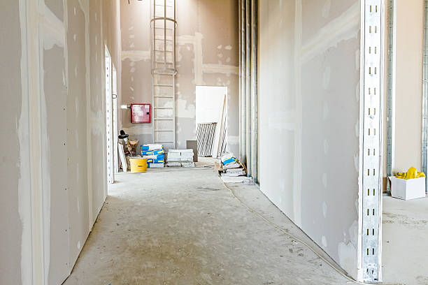 Best Attic Mold Removal  in Langley Park, MD