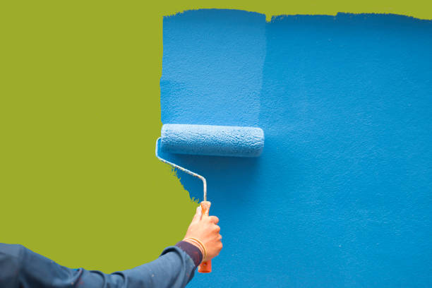 Reliable Langley Park, MD Mold Removal Solutions
